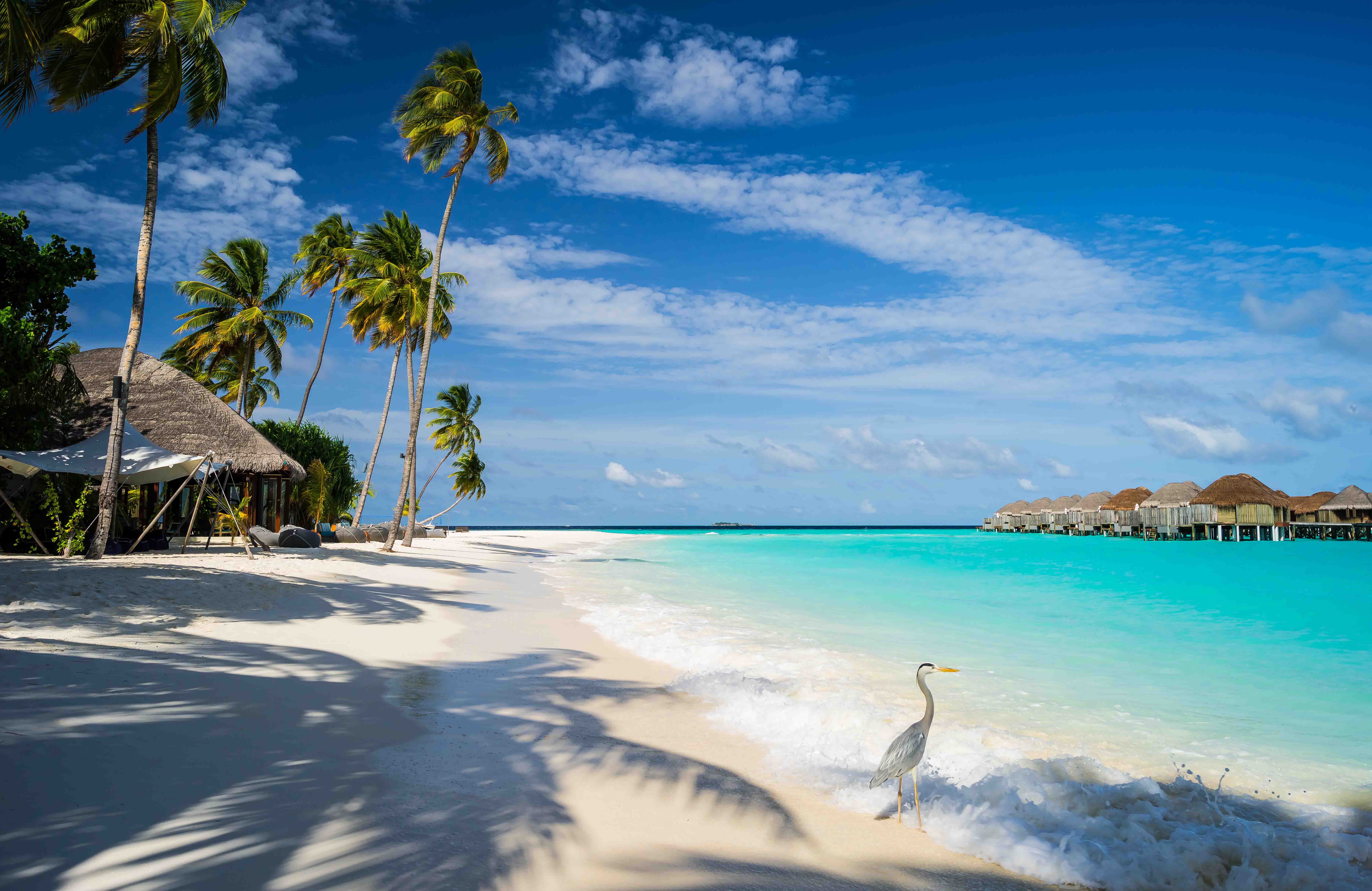 Destination Image