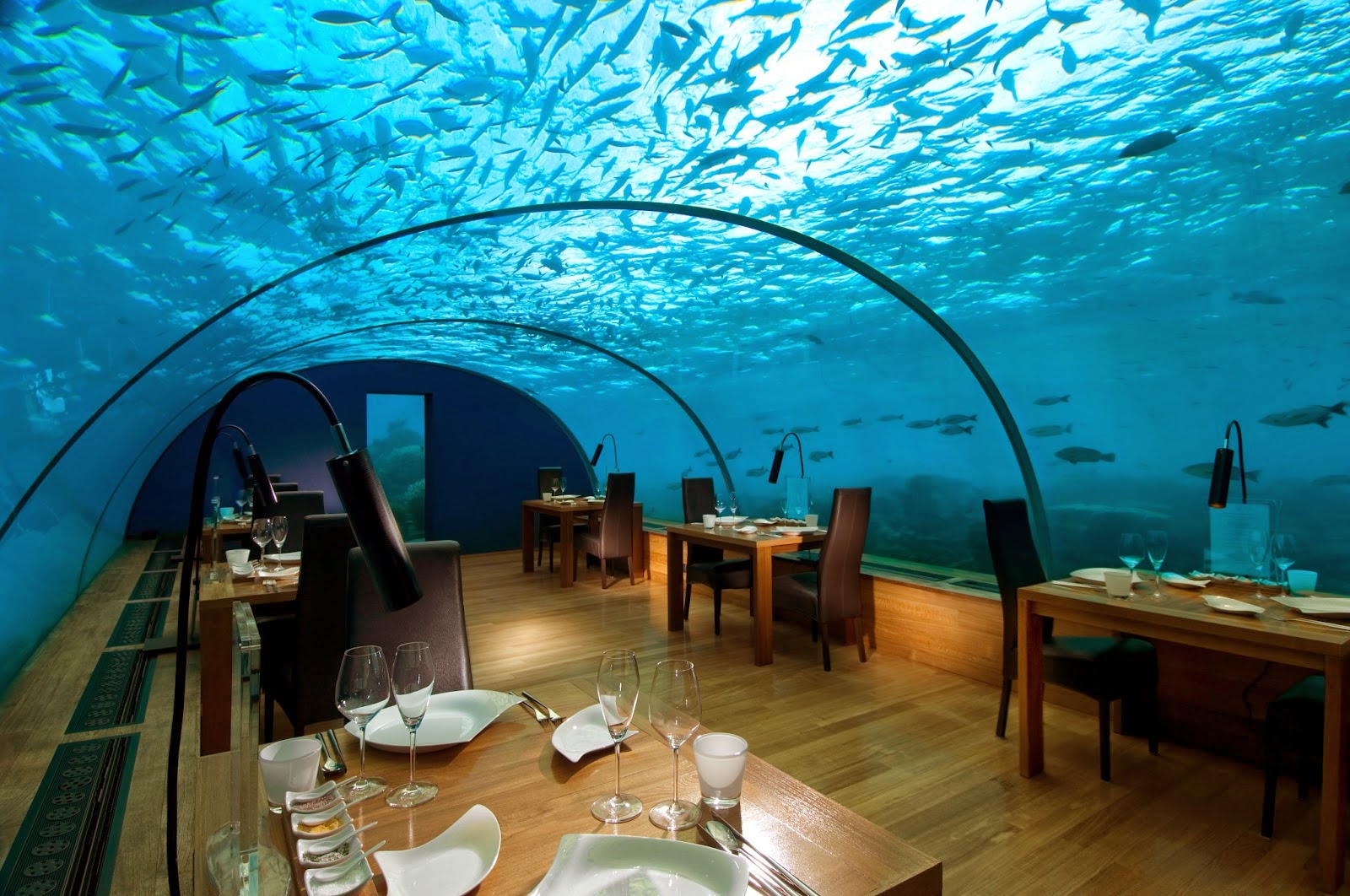 Maldives (multiple islands)_image2