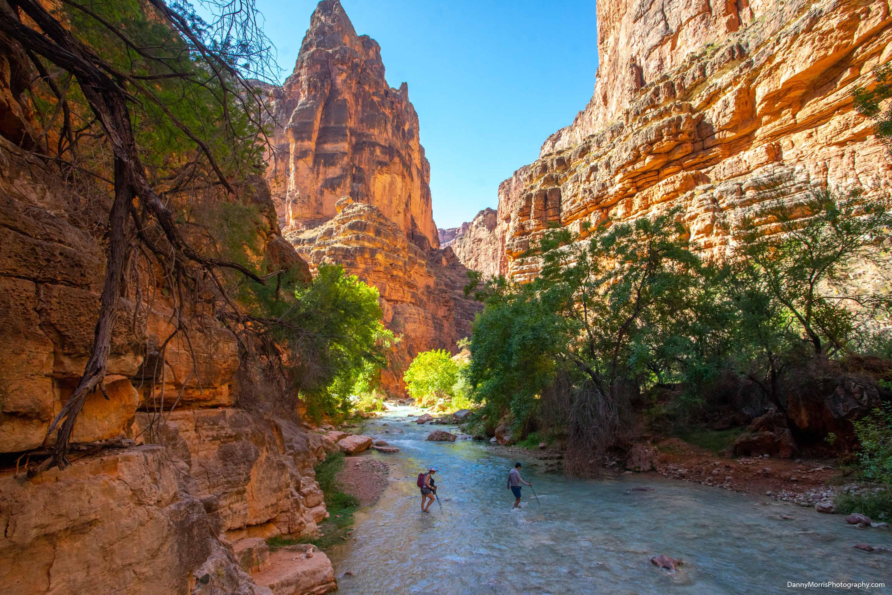Grand Canyon National Park, Arizona, USA_image2