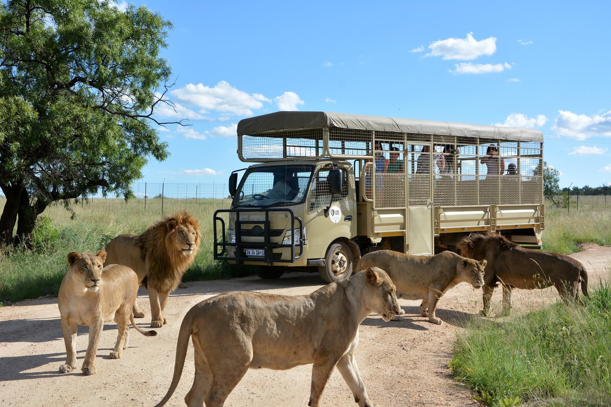 African Safari Camps, South Africa_image2